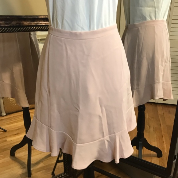 ❌Pale Pink Skirt - Picture 2 of 4